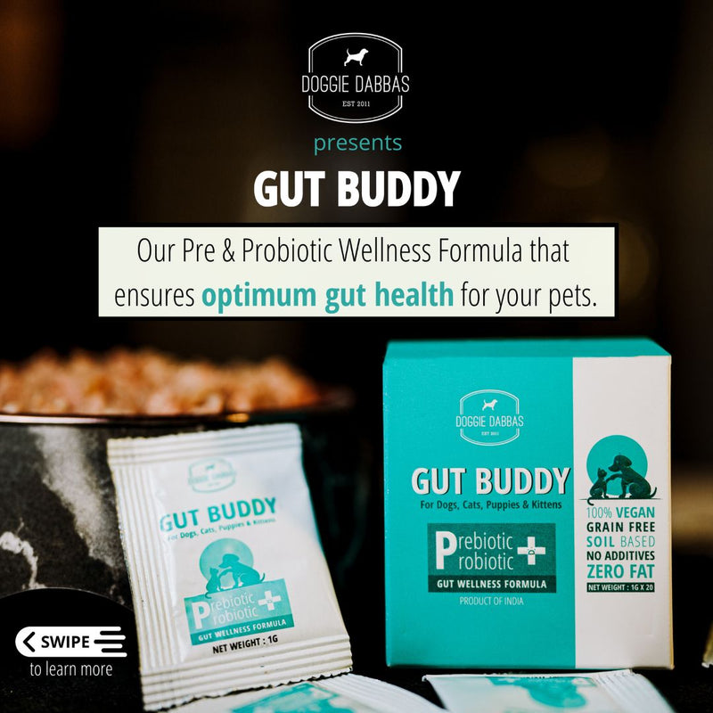 (V) Gut Buddy | Pre & Probiotic Supplement | 1g x 20 sachets Pack of 5