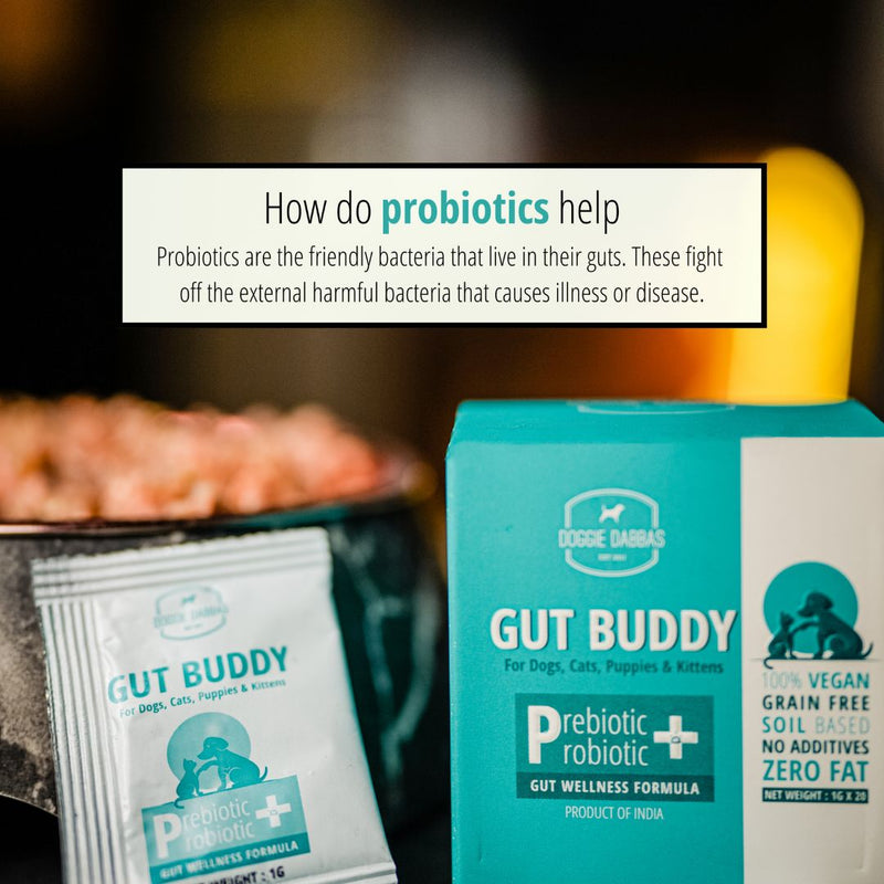 (V) Gut Buddy | Pre & Probiotic Supplement | 1g x 20 sachets Pack of 2