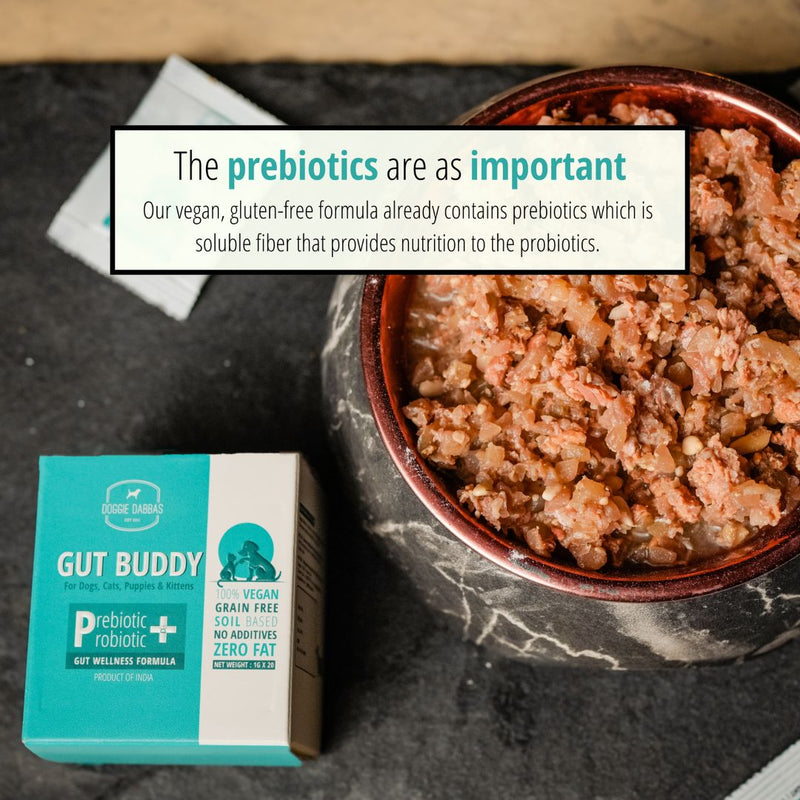(V) Gut Buddy | Pre & Probiotic Supplement | 1g x 20 sachets Pack of 2