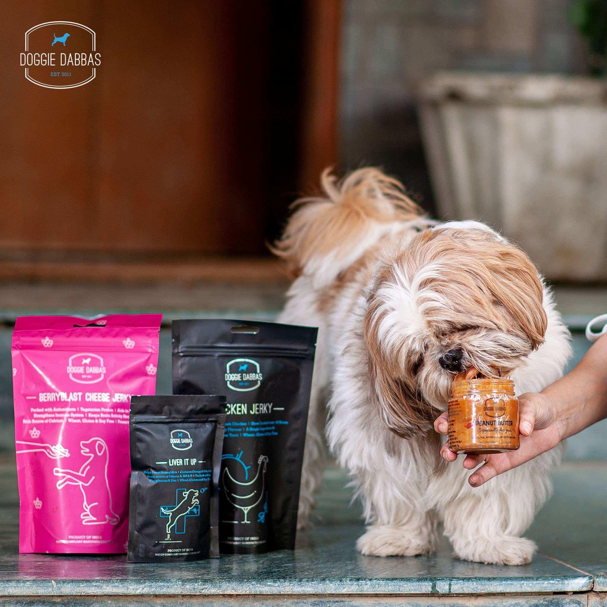 Buy Puppy Power Bundle Pack of at Puppy Dog Food