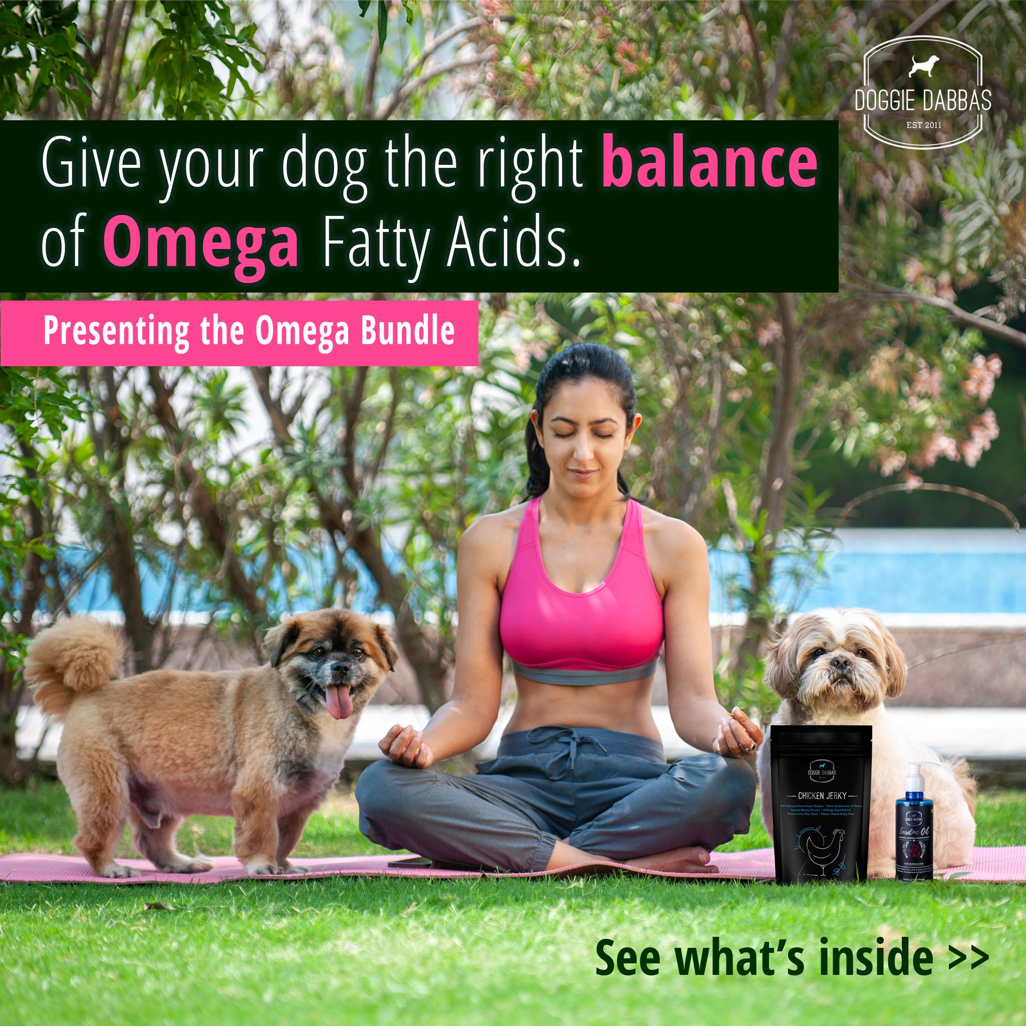 Giving dogs omega 3 discount