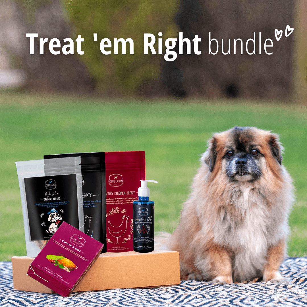 Treats for Dogs Gifts for Dogs and Puppies Doggie Dabbas