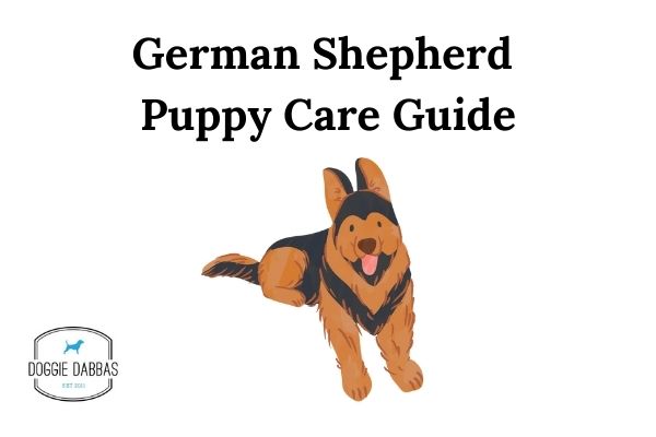How To Take Care Of A German Shepherd Puppy