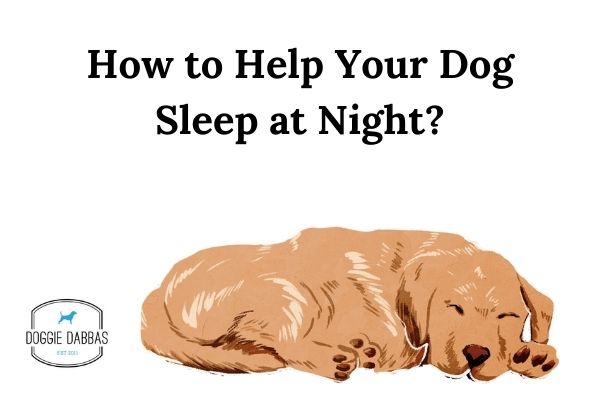 How To Help Your Dog Sleep At Night