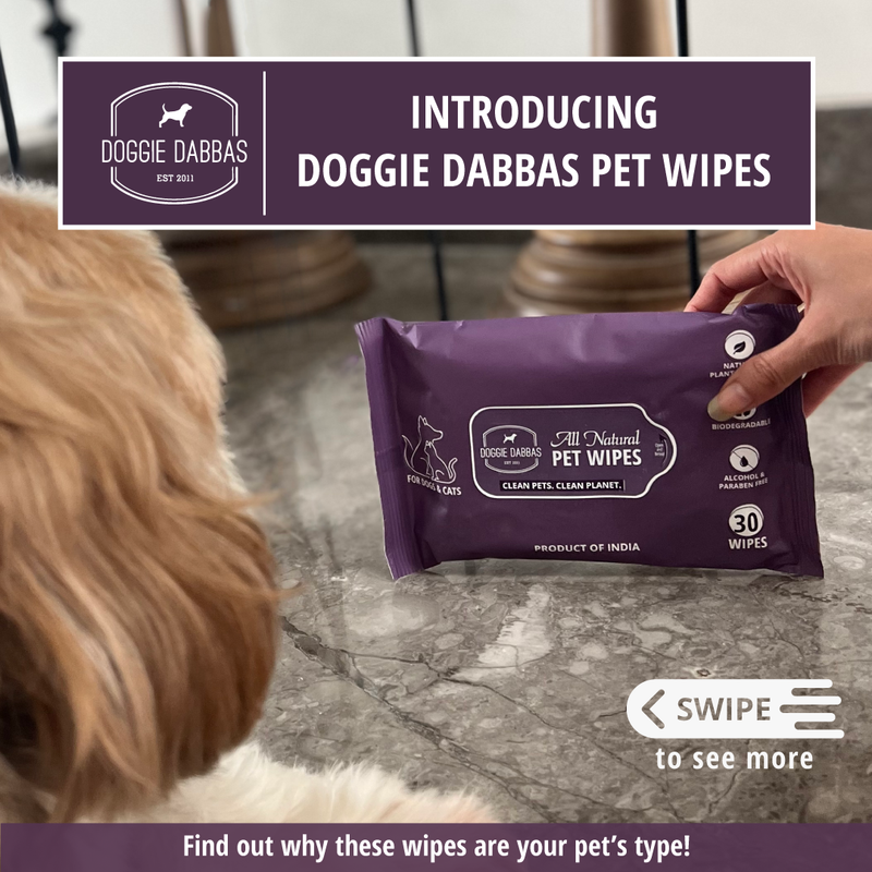 Pet Wet Wipes | Biodegradable | Alcohol Free | Pack of 180