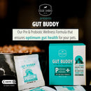 (V) Gut Buddy | Pre & Probiotic Supplement | 1g x 20 sachets Pack of 2