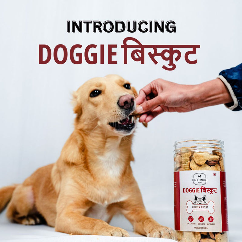 DOGGIE BISCUITS | Gluten Free Dog Biscuits | Real Chicken Biscuits Value Pack of 4