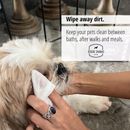 Pet Wet Wipes | Biodegradable | Alcohol Free | Pack of 10