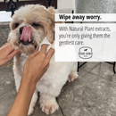 Pet Wet Wipes | Biodegradable | Alcohol Free | Pack of 2