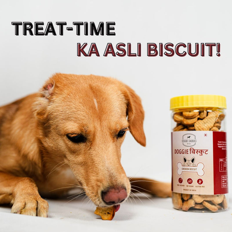 DOGGIE BISCUITS | Gluten Free Dog Biscuits | Real Chicken Biscuits Value Pack of 2