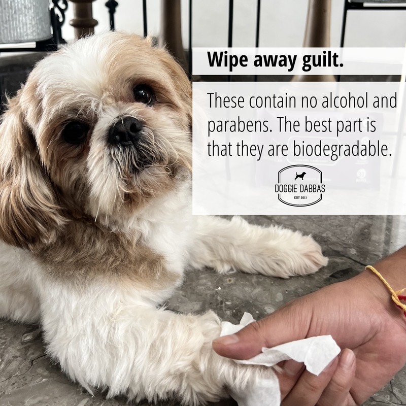 Pet Wet Wipes | Biodegradable | Alcohol Free | Pack of 60