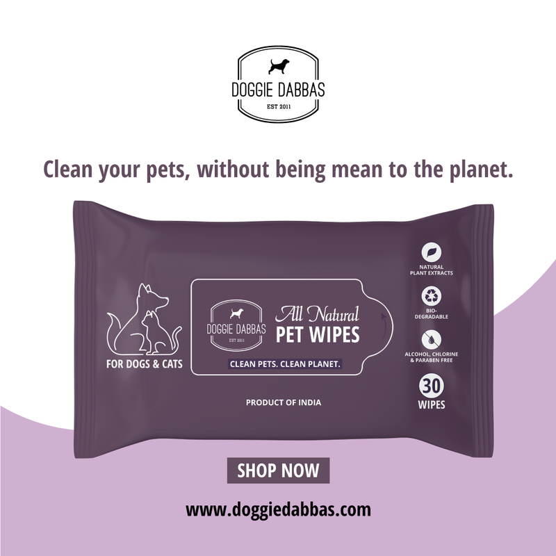 Pet Wet Wipes | Biodegradable | Alcohol Free | Pack of 60