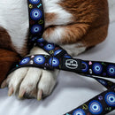 Dark Blue Evil Eye | Collar | Leash | Harness