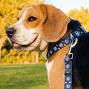 Dark Blue Evil Eye | Collar | Leash | Harness