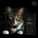 Liver Bits (Pack of 3) 105gms