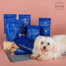 Best Treat For Dogs | Treats for dogs with allergies | Fish Jerky | Natural Dog Treats | Best Dog Treats India | Doggie Dabbas