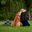 freshibble - Chicken & Vegetables 100g per pkt (Value Packs)