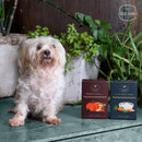 STANDARD PLAN - Small Dogs (5-10kgs)