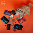 Chicken Lover Bundle