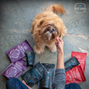 Chicken Lover Bundle