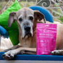 Buy (V) Berryblast Cheese Jerky 100gms for dogs & puppies