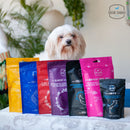 Treat Monster Bundle