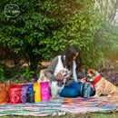 Treat Monster Bundle