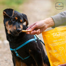 (V) Cheese Jerky 100gms