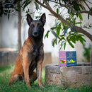 MINI PREMIUM TASTER PACK (2 x 200gms)