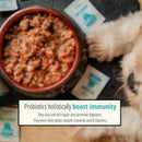 (V) Gut Buddy | Pre & Probiotic Supplement | 1g x 20 sachets