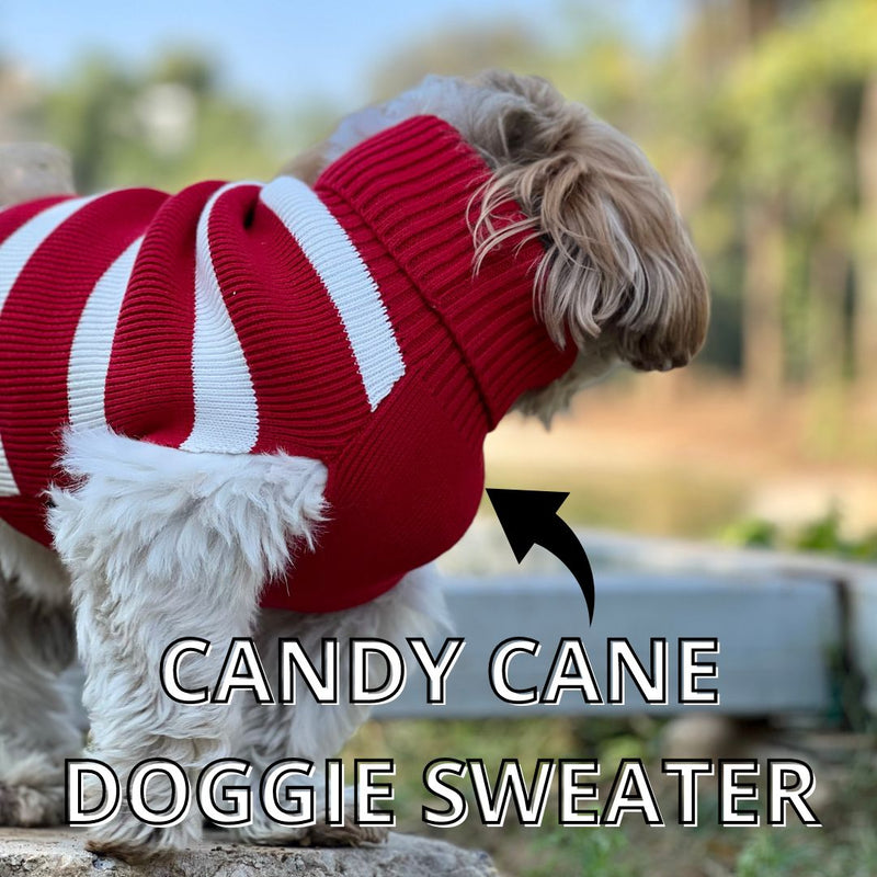 Candy Cane Dog Sweater