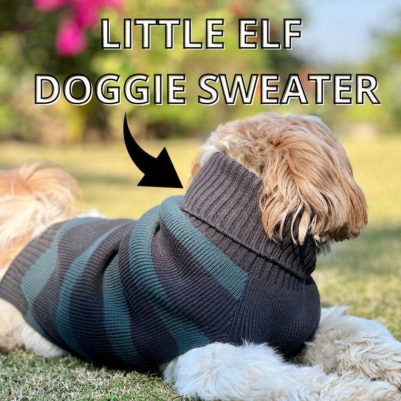 Little Elf Dog Sweater